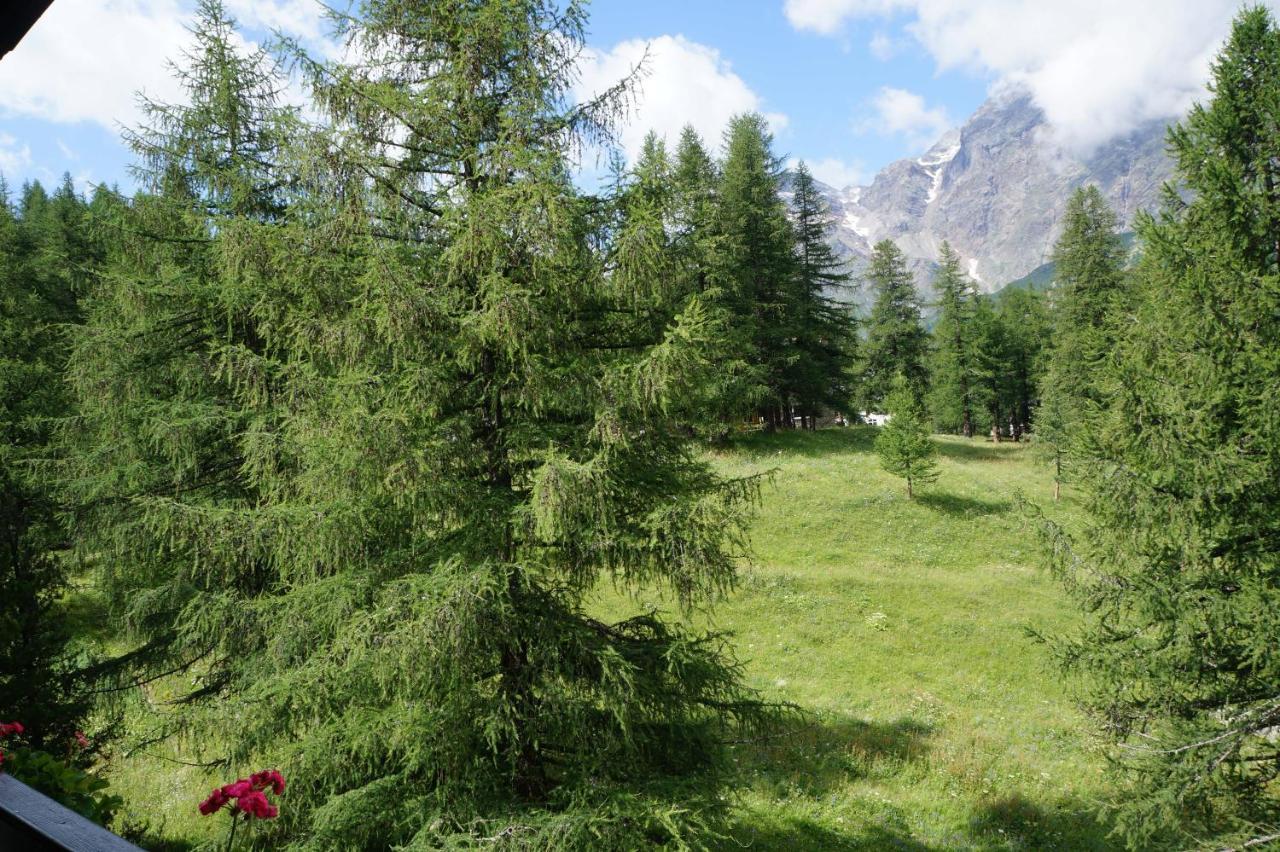 Ferienwohnung Window On The Mountains Breuil-Cervinia Exterior foto